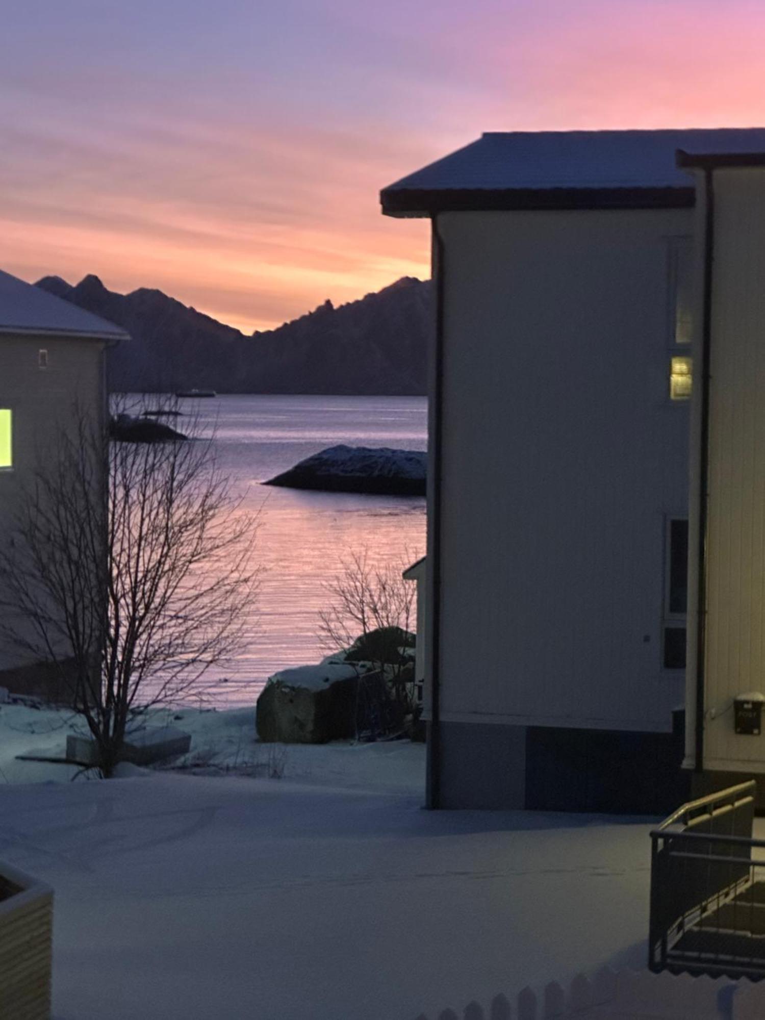 فيلا Koselig Hus Naert Havet I Lofoten, Kabelvåg المظهر الخارجي الصورة