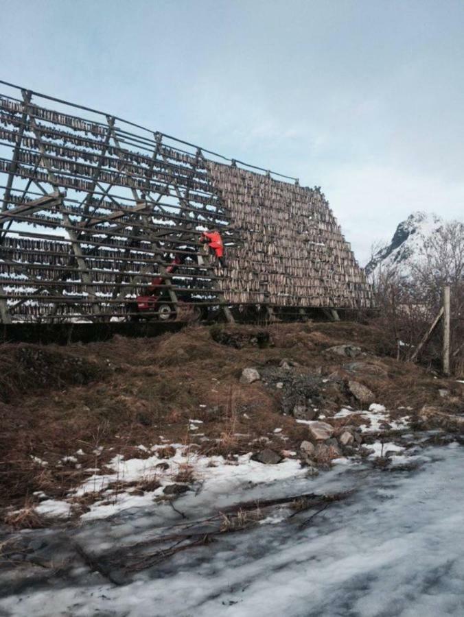 Koselig Hus Naert Havet I Lofoten, Kabelvåg المظهر الخارجي الصورة